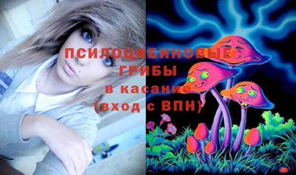 соль ск Горняк