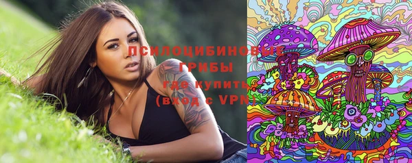 прущая мука Вяземский