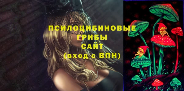 соль ск Горняк
