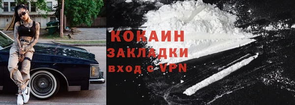 прущая мука Вяземский