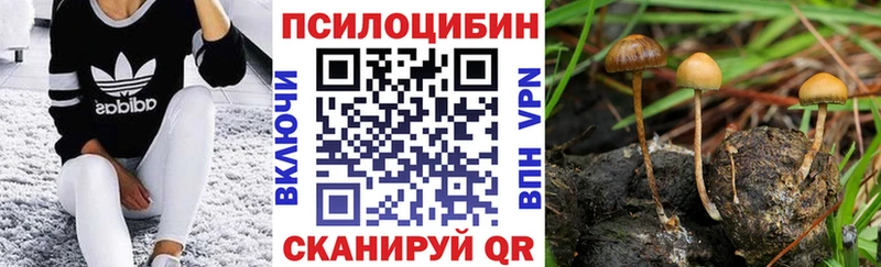 blacksprut ссылка  купить наркоту  Тверь  Галлюциногенные грибы Magic Shrooms 